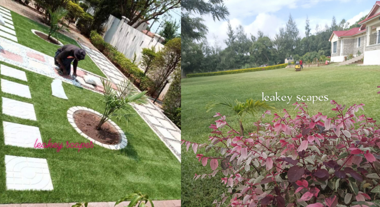 Garden Maintenance